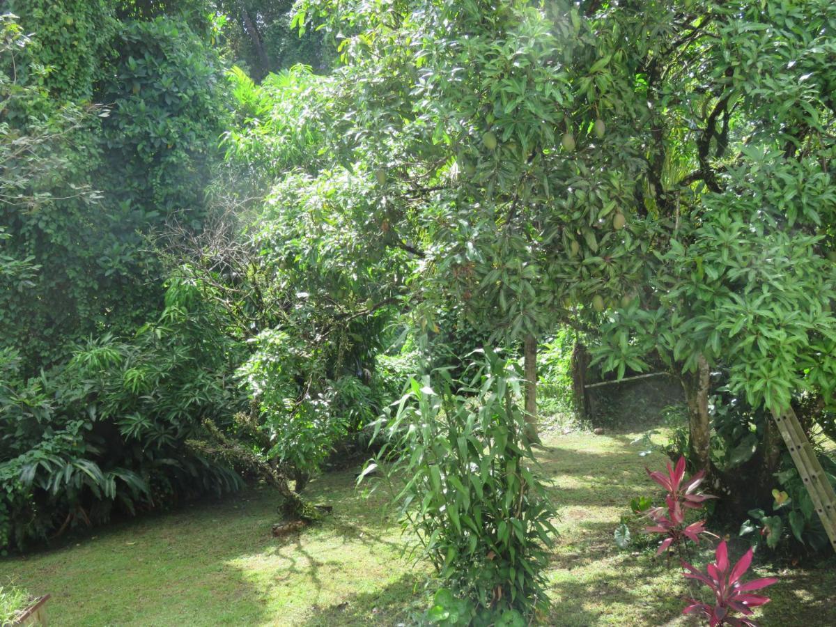 Serenity Gros-Morne Bagian luar foto